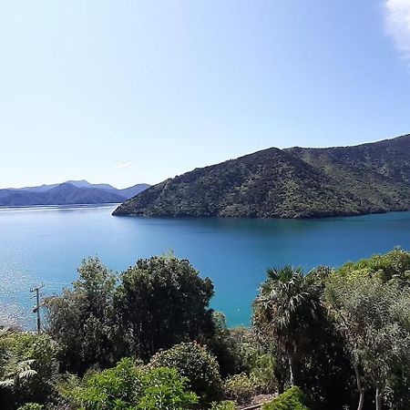A Sea View B&B Picton Eksteriør billede
