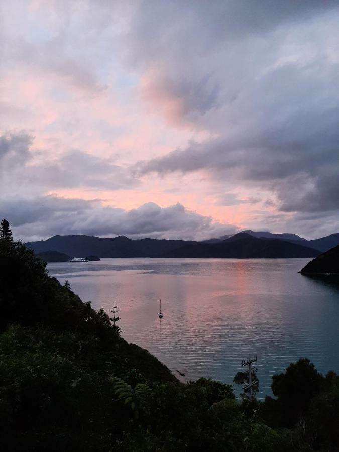 A Sea View B&B Picton Eksteriør billede