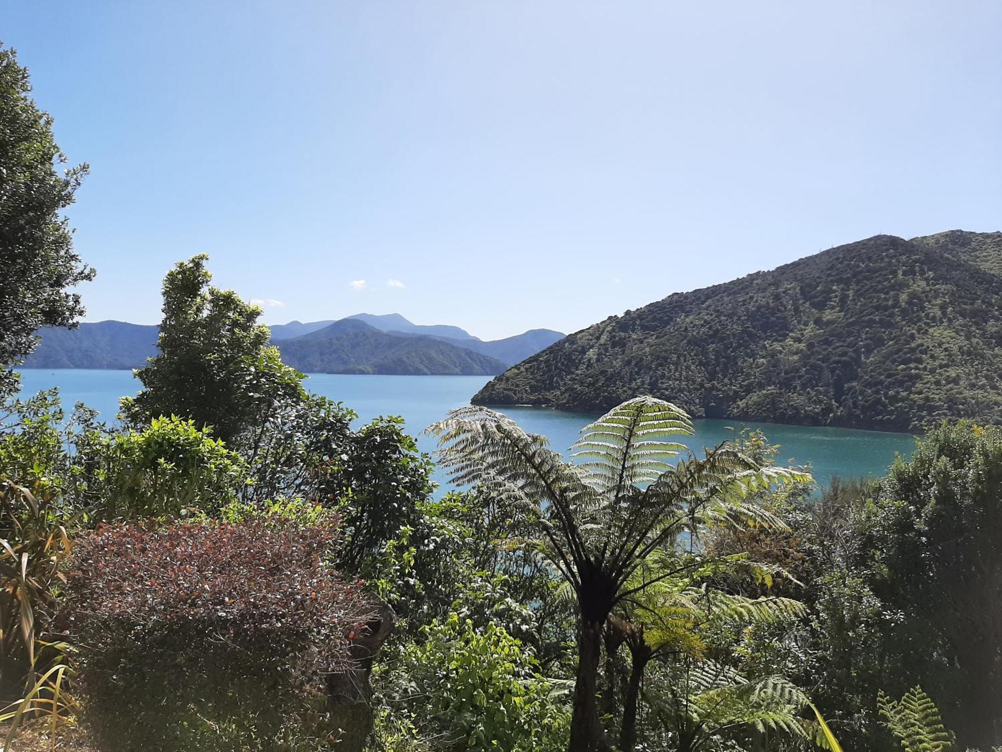 A Sea View B&B Picton Eksteriør billede