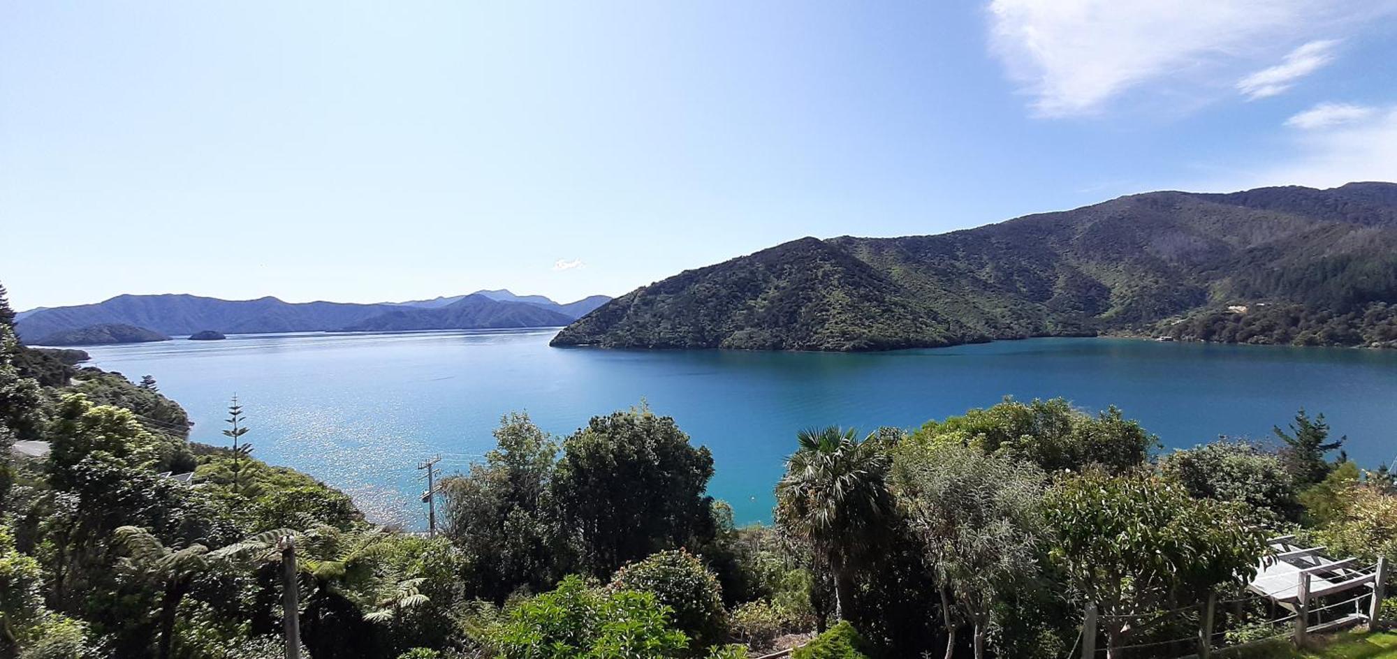 A Sea View B&B Picton Eksteriør billede