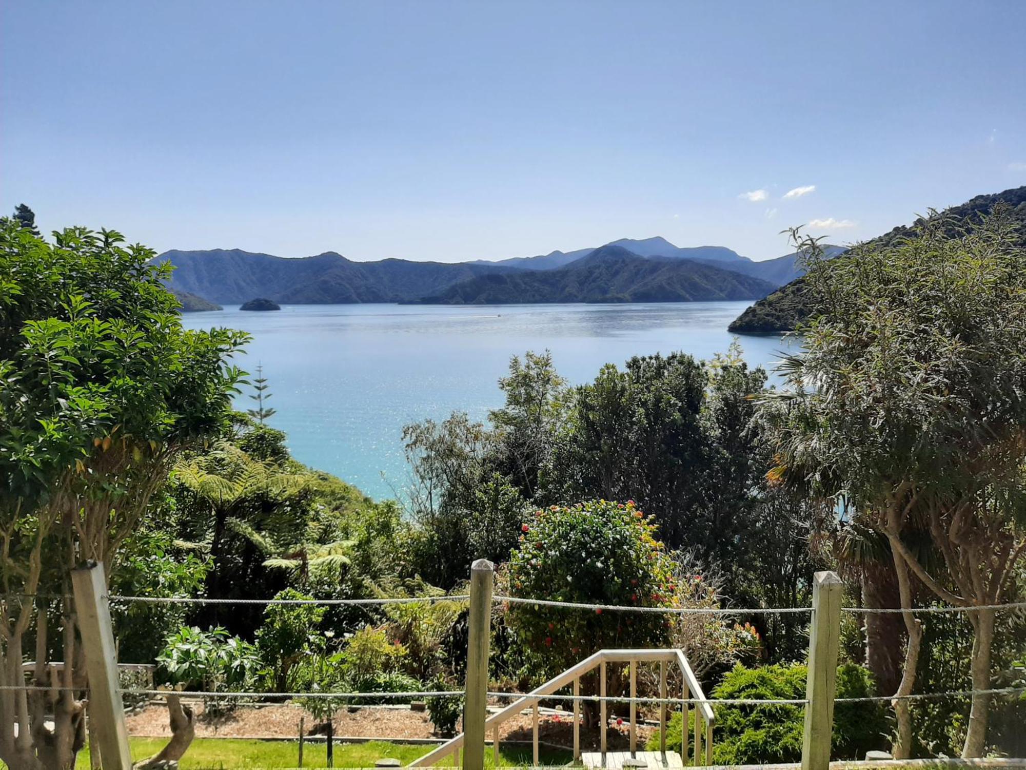 A Sea View B&B Picton Eksteriør billede