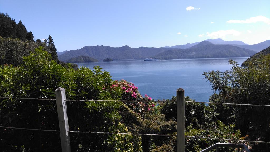 A Sea View B&B Picton Værelse billede